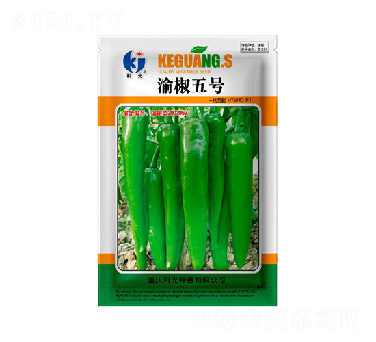 彷5̖(ho)-ƹN