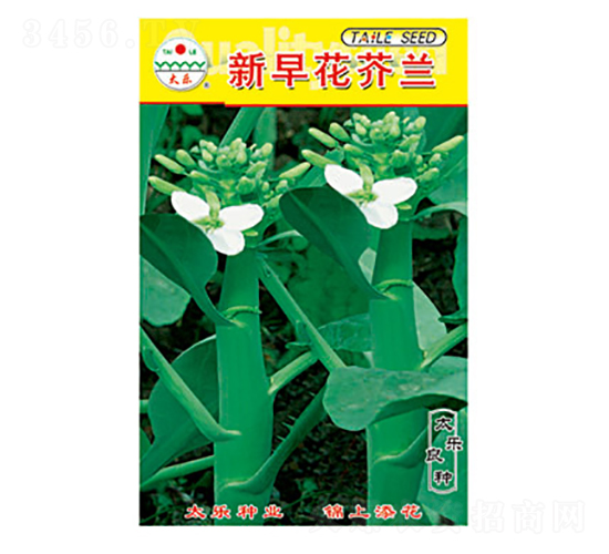 mN-绨m-̫NI(y)