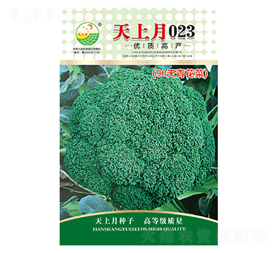 西蘭花種子-天上月023-太樂種業(yè)