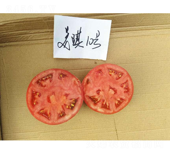 高科美琪10號(hào)-番茄種子-秦豐種業(yè)