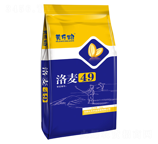 洛麥49小麥種子-黃斤糧-天農農業(yè)
