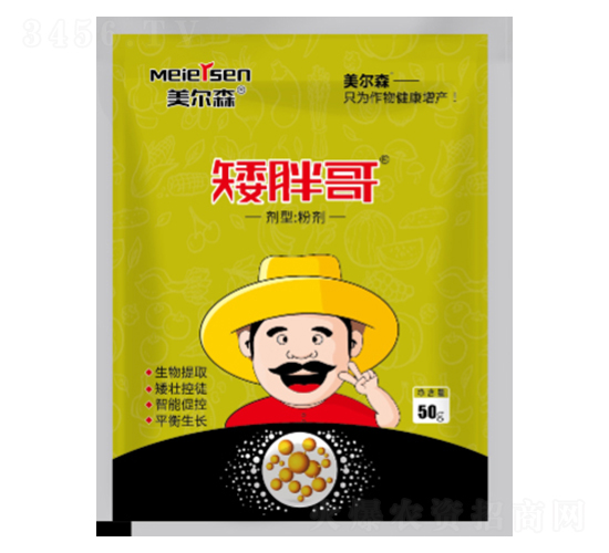 矮胖哥-美爾森