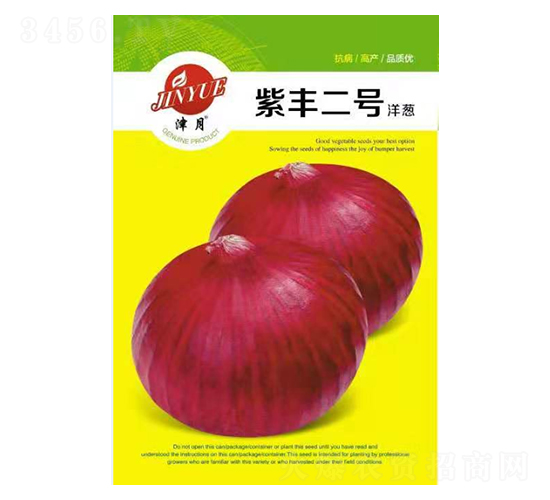 洋蔥種子-紫豐2號(hào)-邯豐農(nóng)業(yè)