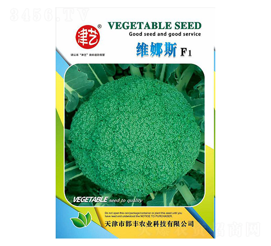 西蘭花種子-維納斯-邯豐農業(yè)