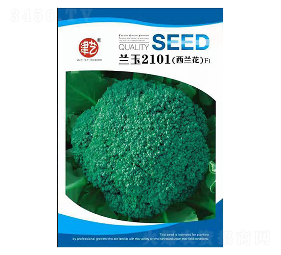 西蘭花種子-藍玉2101-邯豐農業(yè)