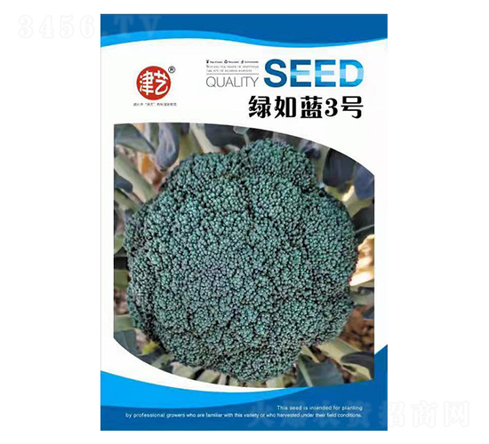 西蘭花種子-綠如藍3號-邯豐農(nóng)業(yè)