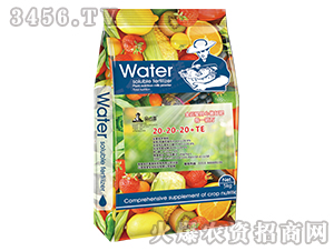 Ԫˮܷ20-20-20+TE(5kg)-