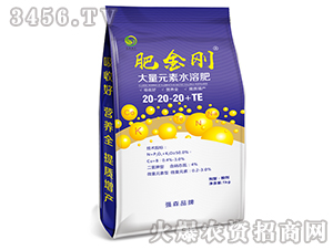 Ԫˮܷ20-20-20+TE-ʽ-(qing)ɭr(nng)