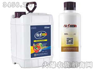 生物肥料-領秀巨豐-巨豐
