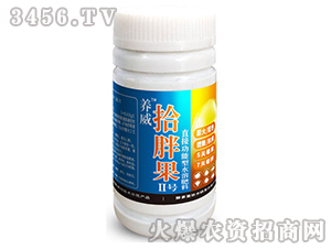 拾胖果II號-養(yǎng)威-大自然