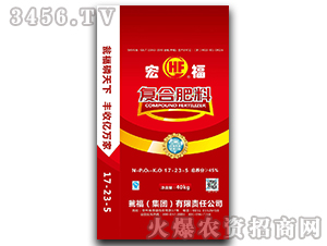ȻͺϷ17-23-5-긣-YF