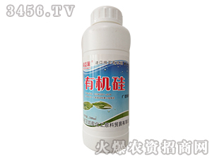 MڼЙC-杙-P