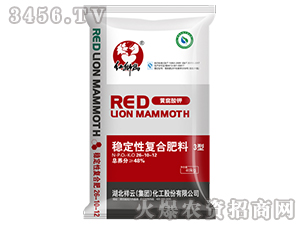 (wn)ԏͺϷ26-10-12-t{-