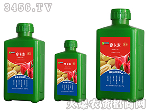 (li)ˮ(zhun)ðҺķ-Ħ-(qing)о