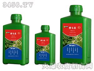 ݌(zhun)ðҺķ-Ħ-(qing)о