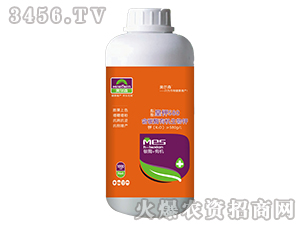 1000ml̼øЙC-ܻ580-ɭr(nng)I(y)