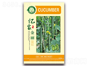 億家金麗-黃瓜種子-億家豐