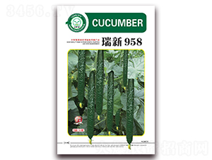 瑞新958-黃瓜種子-億家豐