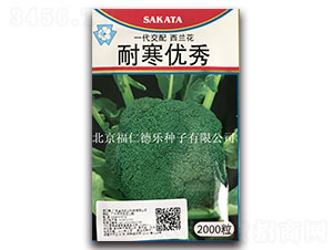 耐寒優(yōu)秀-西蘭花種子-福仁德樂(lè)