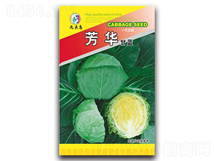 芳華甘藍(lán)-甘藍(lán)種子-九頭鳥