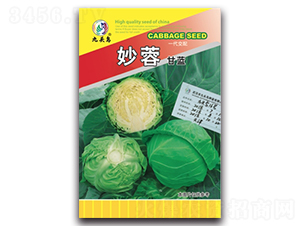 妙蓉甘藍-甘藍種子-九頭鳥