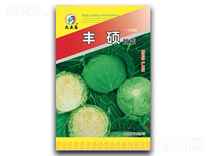 豐碩甘藍-甘藍種子-九頭鳥