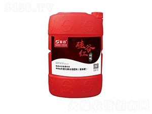ЙC(j)ѸҺw-