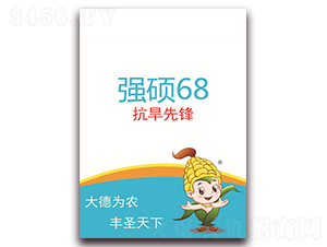 強碩68-玉米種子-德圣種業(yè)