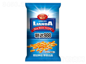 (lin)_988-׷N-(lin)_NI(y)