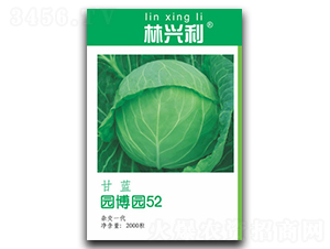 園博園52-甘藍(lán)種子-林興利