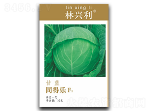 同得樂(lè)-甘藍(lán)種子-林興利