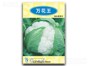 萬(wàn)花王-花椰菜種子-林興利