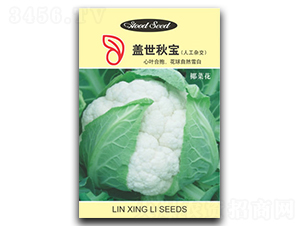 蓋世秋寶-花椰菜種子-林興利