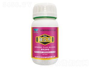 ЙCw裩-֠(yu)