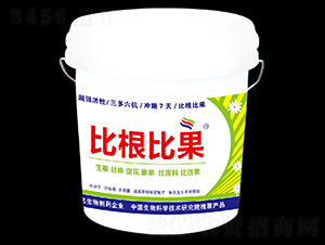 比根比果-新航天