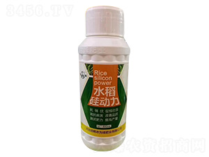 水稻硅動力-為峰肥業(yè)
