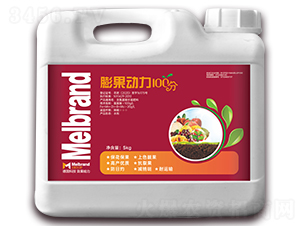 5kg膨果動(dòng)力100分-谷雨春