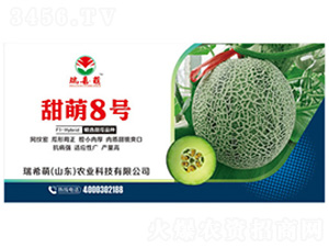 甜萌8號(hào)-甜瓜種子-瑞希萌