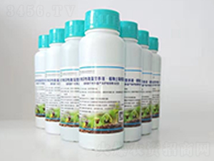 Сˮ΢IB(yng)ҺҺ-