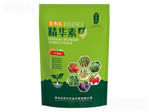 精華素-五色石