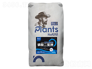 10kg-ȽQ(mo)