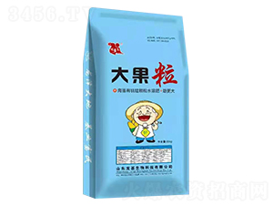 海藻有機硅顆粒水溶肥-大果粒-龍基