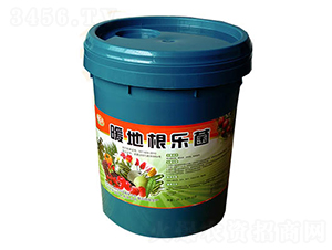 暖地根樂菌-喜樂豐農(nóng)業(yè)
