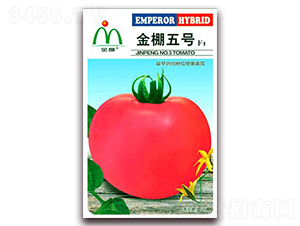 ̖-ۼtѷN-i