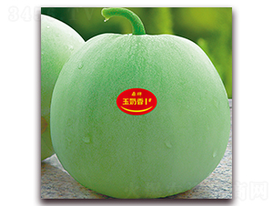 玉奶香1號(hào)-甜瓜種子-鼎牌種苗