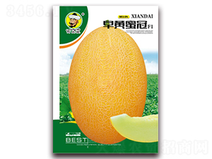 早黃蜜冠F1-甜瓜種子-現(xiàn)代種業(yè)