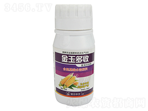 玉米專用控旺增產(chǎn)劑-金玉多收-中天肥業(yè)