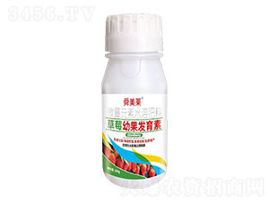 草莓幼果發(fā)育素-舜美萊-天舜植保