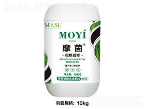 促根返青-摩茵-艾德拉