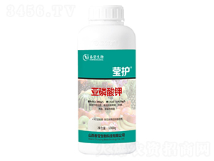 亞磷酸鉀-瑩護(hù)-春瑩生物